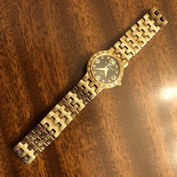 Tauan gold tone band black face Swiss watch Ternos Ceramic Automatic GMT Black Gold Diving Watch  main image 4